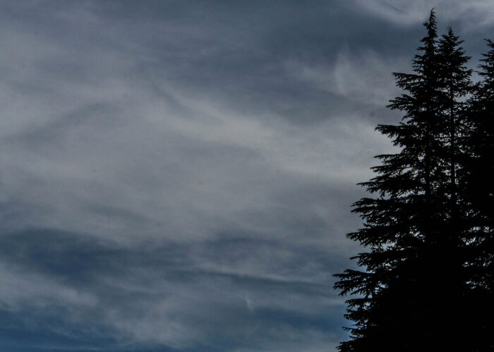 Delhi Manali Tour Package