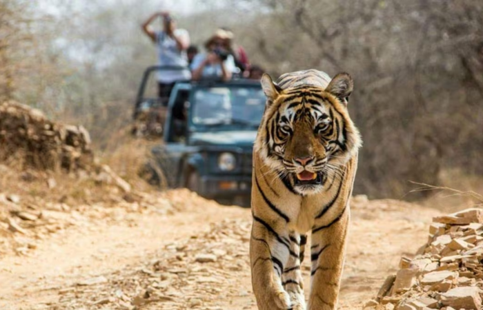 Nainital Jim Corbett Rishikesh Haridwar tour package by Colorful Destinations India