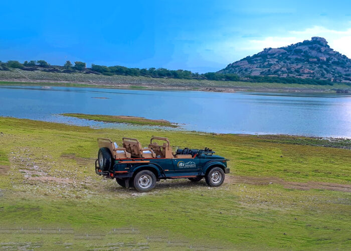 Unexplored Rajasthan Activities Local Life