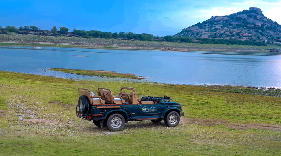 Unexplored Rajasthan Activities Local Life