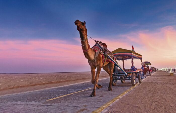 Hidden Gems India: 10 Lesser, How to Tour Rajasthan: The Ultimate Guide to India’s Royal State