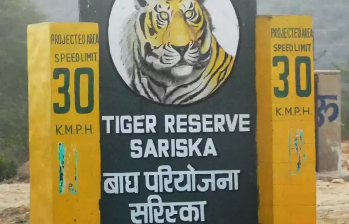 Sariska Weekend Getaway From Delhi