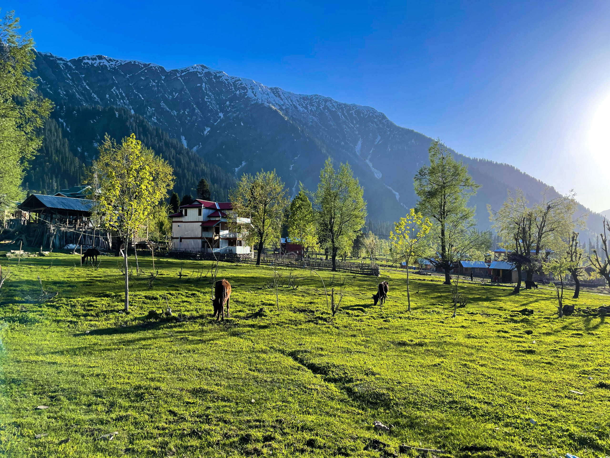 Kashmir Travel Guide